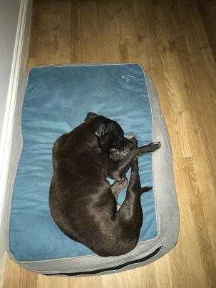 Tired out