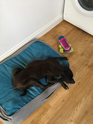Sprawled