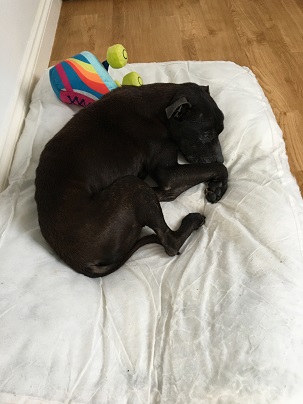 Quilt's gone