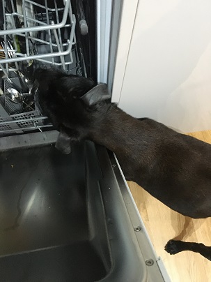 Get out of there