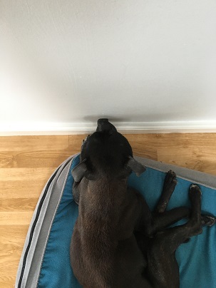 Huh?