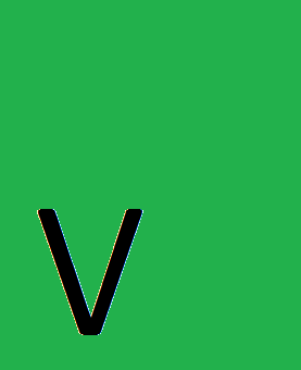 Video Image